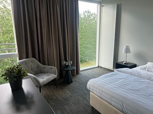 Double with a Mountain View room