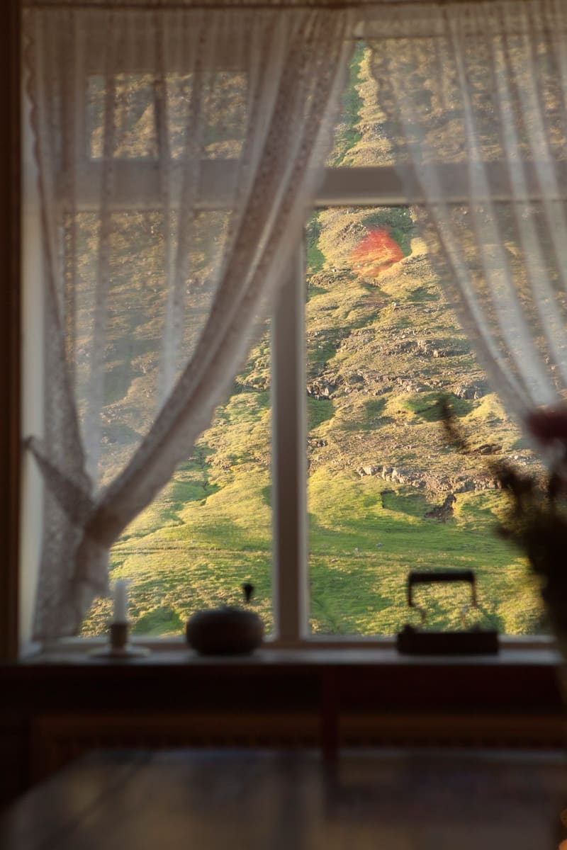 Wilderness Center of Iceland — photo 5