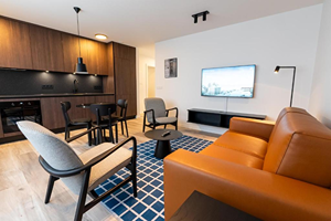 Deluxe City view One bedroom apartment w/balcony room