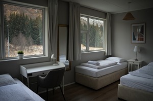 Standard Triple Room room
