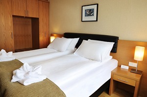Standard Room - Double or Twin room