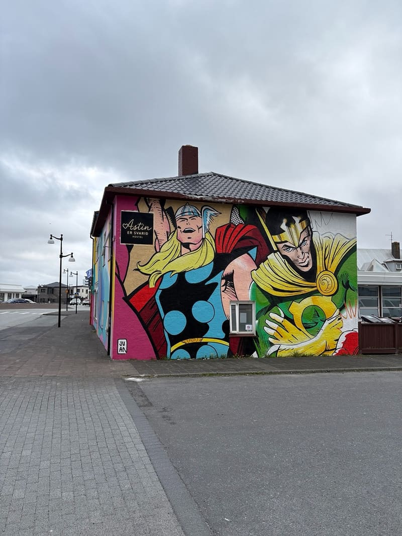 ASTIN ER SVARID HOSTEL — photo 2