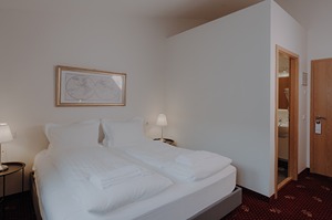 Economy Double or Twin Room room
