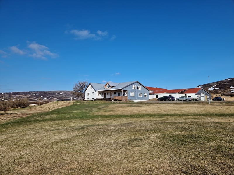 Svanshóll Apartments — photo 5