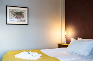 Standard Twin Room room