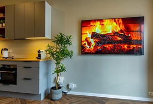 Apartment 201 room