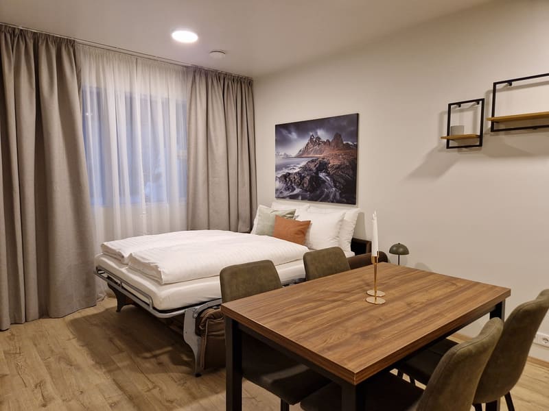 Höfn Apartments — photo 4