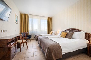 Standard Triple Room room