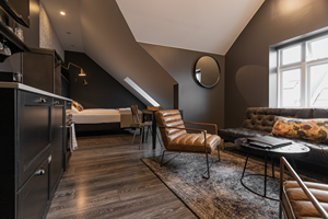 Penthouse Studio room