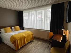 Standard Double Room room