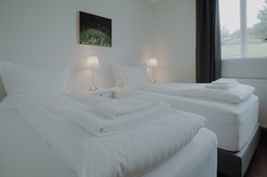Standard Double or Twin Room room