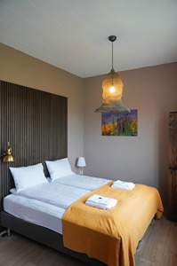 Double Room Fjosid room