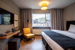 Standard Room room