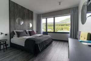 Deluxe Room - Double or Twin room