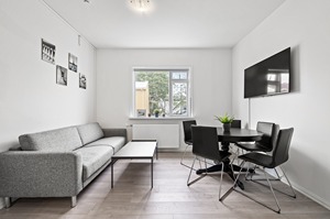 Cozy Apartment room