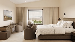 Premier Deluxe Room room