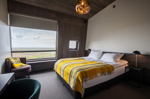Standard Room - Double or Twin room