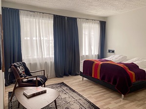 Deluxe Double Room with Private Bathroom room