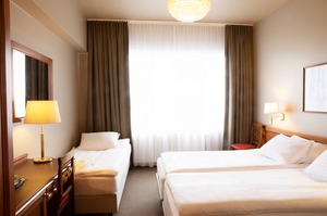 Standard Room - Triple room