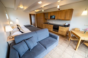 Deluxe 4-5 pax room