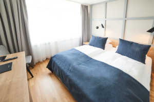 Standard Room - Double or Twin room