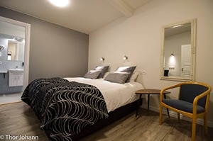Standard double/twin room room