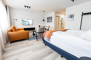 Large Deluxe Studio room