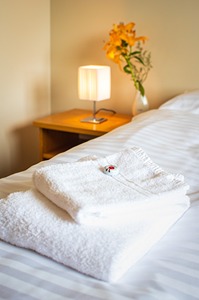 Double/Twin room