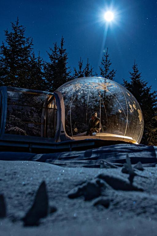 Buubble Ölvisholt — photo
